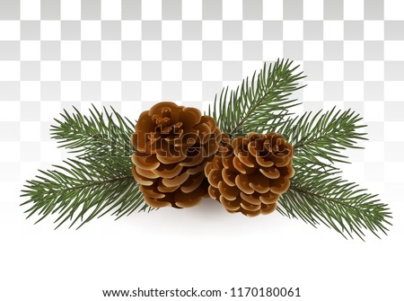 Similar – Image, Stock Photo Details of christmas decoration over a christmas tree