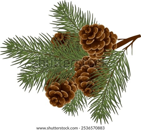 Similar – Image, Stock Photo Natural pine brown cones for holiday decoration