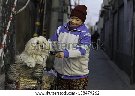 BEIJING, CHINA - CIRCA JANUARY 2013. Elder woman carries pat dog on his bicycle in Beijing on circa January 2013. Bicycle is the primary transportation for millions of Chinese.