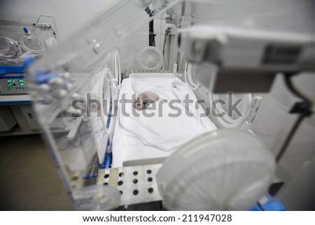 GUANGZHOU, CHINA - AUGUST 12. 2014.:A newborn giant panda cub, one of the triplets which were born to giant panda Juxiao (not pictured), is seen inside an incubator at the Chimelong Safari Park.