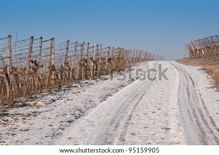 Path in a German vineyard in winter with snow and blue sky