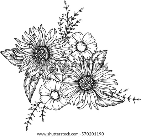 free hand drawn vector