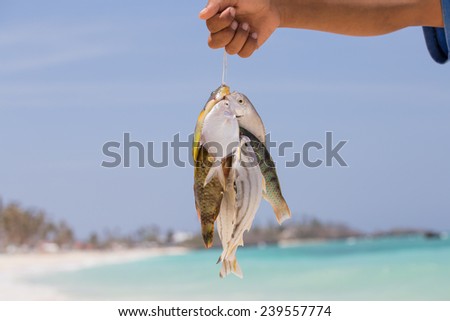 Fisherman holding fish catch against the sky