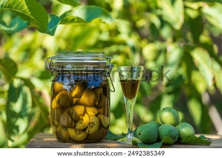 Similar – Image, Stock Photo green walnuts on the tree