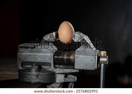 Similar – Image, Stock Photo Egg in a clamp. Strong organic egg concept. Concept of strength