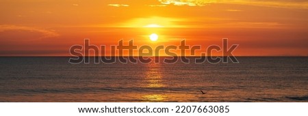 Similar – Image, Stock Photo Sunrise over the sea of fog