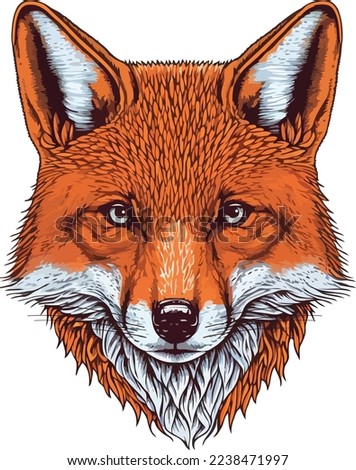 Red Fox Face Close Up Portrait illustration 01