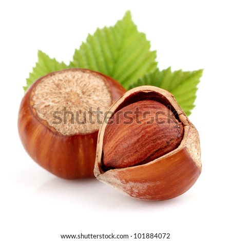 Dried hazelnuts with leaves