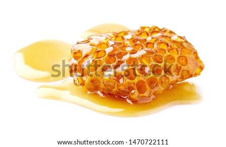 Natural wild honey on white background