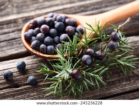 Juniper berries on a wooden background