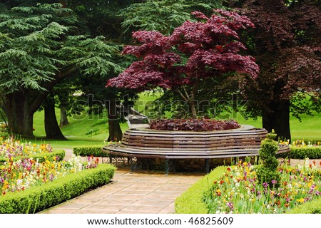 A vibrant and well maintained formal flower garden, with circular bench around an acer tree, and large trees in the background.