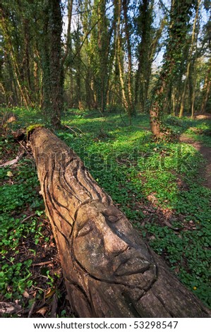 A funny carving of a face in a log. The face has long upright hair, and looks a little like some sort of sun god. Photo taken in spring woods with lush green growth.