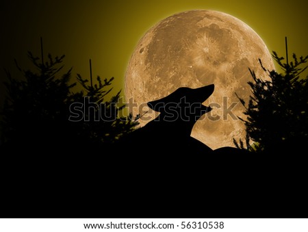 Wolf Howling At Full Moon Stock Photo 56310538 : Shutterstock