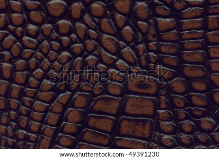 stock-photo-brown-and-black-crocodile-leather-texture-49391230.jpg