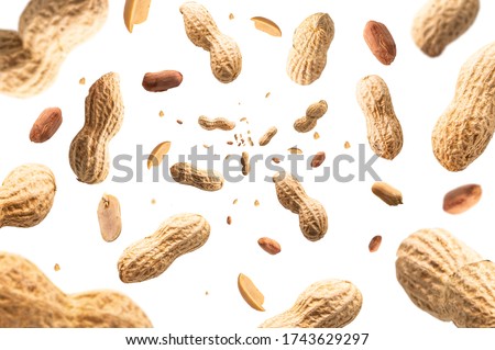 Collection of peanuts falling isolated on white background. Selective focus
