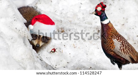 Christmas. Wild animals with Christmas hats on peeking out of the snow.