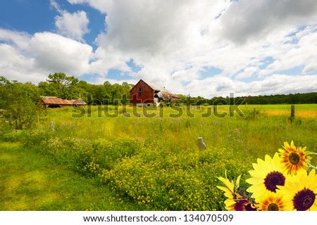 Beautiful summer country landscape.