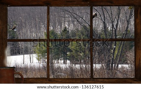 Winter landscape with eagles, as  seen through a rustic cabin window with a steaming mug of coffee resting on the window sill.  Part of a series.