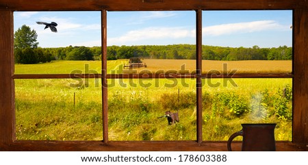 View out the farmhouse window of a farmer cutting hay in the autumn, with a puppy in the foreground, and a raven in flight.