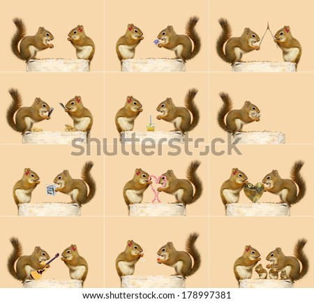 The love story of two little squirrels. A sequence of humorous events, ending with them starting a family.  Each full sized image is available in my portfolio (some are without the hair bow).
