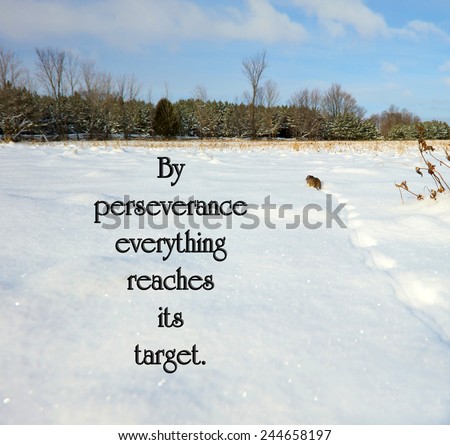 Catalan proverb with inspirational words about perseverance with a little mouse trudging through the snow, trying to reach the cover of the distant forest.