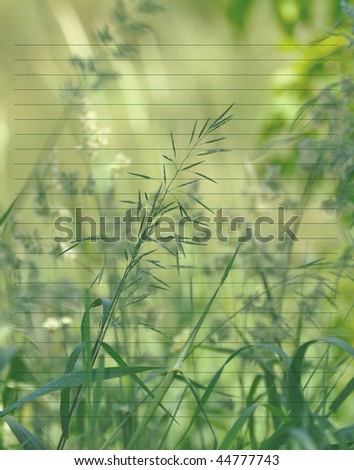 Unique lined journal background featuring tall grasses blowing in the summer breeze.  The original picture without text is in my portfolio.