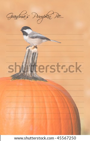 Unique recipe card design featuring a faded background with a cute chickadee perched on a pumpkin.  The original picture is in my portfolio.