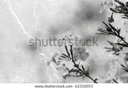 Floral summer nature background on antique texture with copy space.