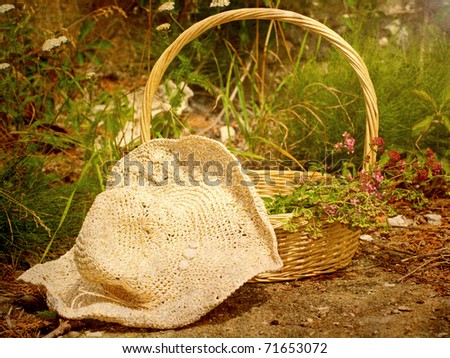 A straw hat and basket with freshly cut oregano sitting in the sunshine against a rustic stone and ivy background in the country.  Grunge textured.