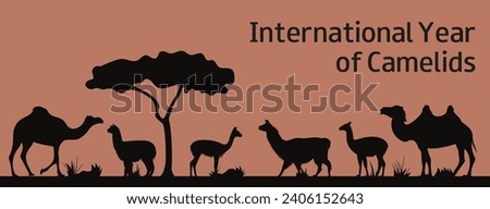 Illustration of a camelids. Bactrian camel, Alpaca, dromedary, guanaco, llama, vicuña silhouettes. International Year of Camelids. Vector illustration.