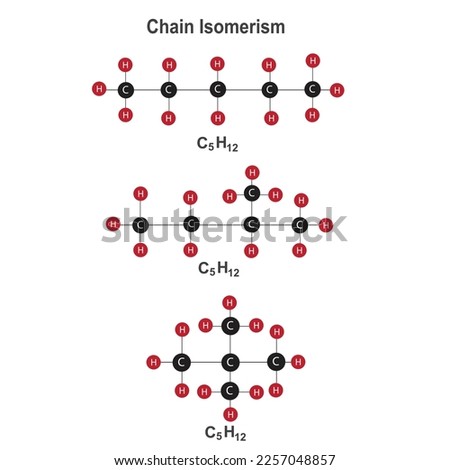 chain  isomerism in organic compound C5H12, pentane, vector illustration