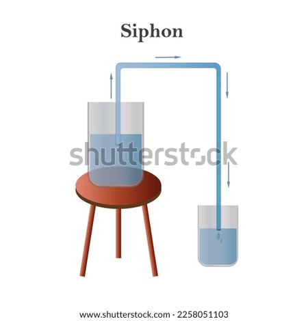 A siphon is a tube in an inverted U shape which enables a liquid, under the pull of gravity, to flow upwards and then downwards to discharge at a lower level. Siphon principle.
