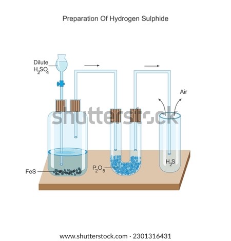 Preparation of hydrogen sulphide in laboratory. Sulphuretted hydrogen. Ferrous sulphide and dilute sulphuric acid react to give hydrogen sulphide. Chemical illustration.