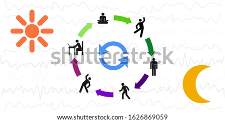 vector illustration of personal daily schedule with day night biorhythm connection and activities 