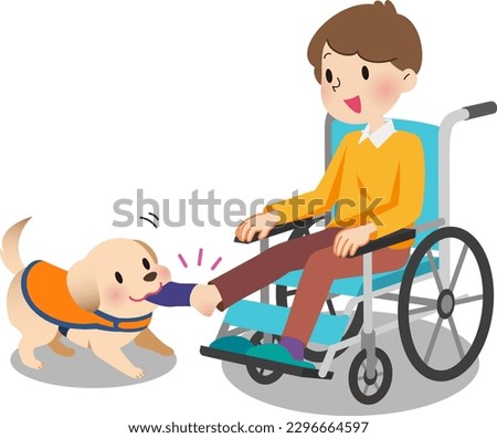 A service dog that takes off the socks of a man in a wheelchair