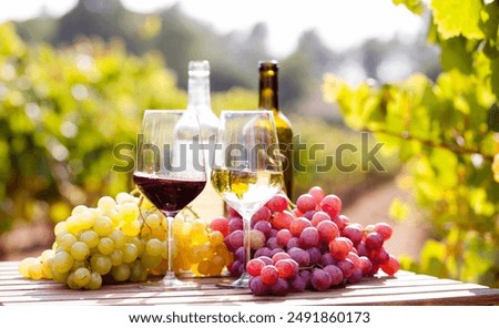 Similar – Image, Stock Photo Wineglass and red grapes on table