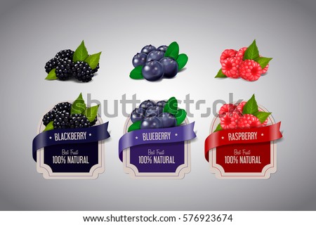 Realistic Berry labels set with blackberry, blueberry and raspberry fruits isolated. Berry jam label design template.