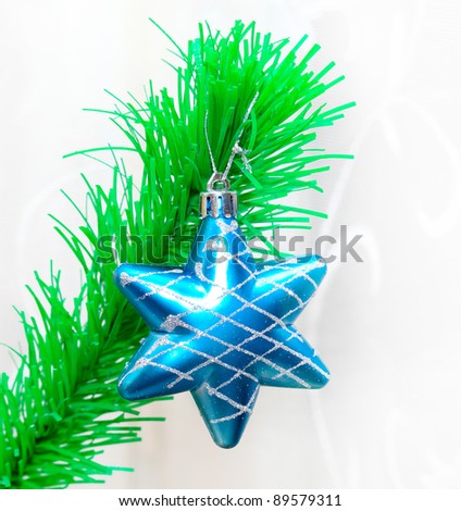 Single star over green fir branch