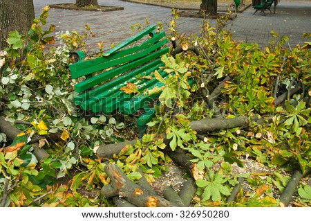 Odessa, Ukraine - October 12, 2015: Fallen broken tree branches in the city center, the effects of hurricane Silin. Workers cut fallen trees chainsaw.