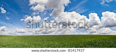 Wheat field vista with clouds in eastern Washington