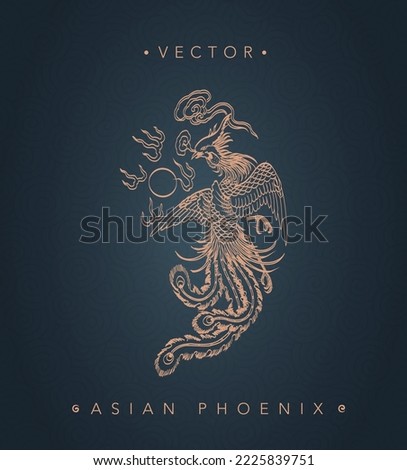 Asian phoenix chinese phoenix totem pattern