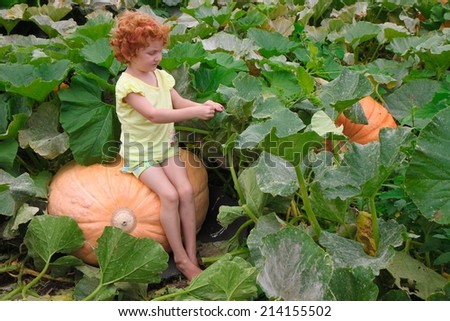 Little red haired girl in a field of giant pumpkins