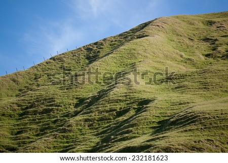 rolling green hill country pasture land East Coast, North Island, New Zealand