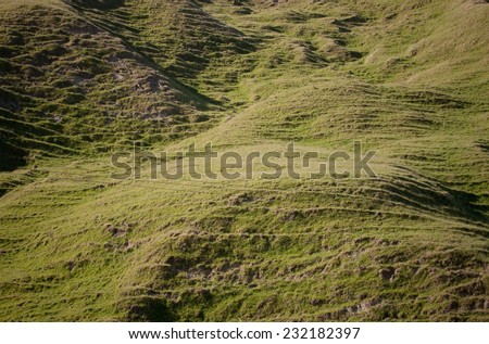 Rolling green hill country pasture land East Coast, North Island, New Zealand