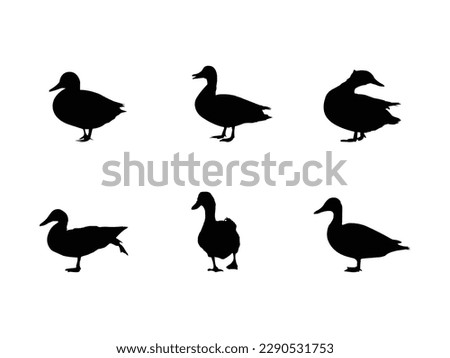 Set of Duck Silhouette collection vector illustration.Silhouettes of wild and domestic duck.Duck in flight. duck icon for web and app.Black silhouettes isolated on white background.vector illustration