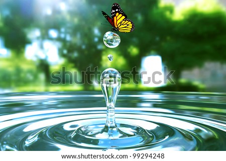 Awesome water drop moment in park with beautiful butterfly