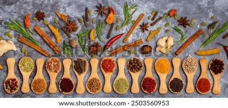 Similar – Image, Stock Photo Various spices on gray background