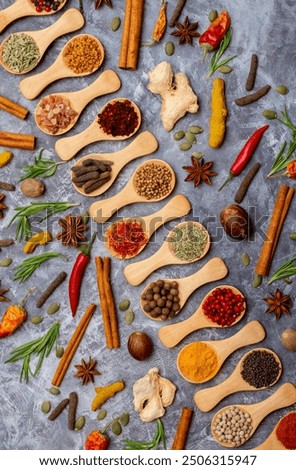 Similar – Image, Stock Photo Various spices on gray background