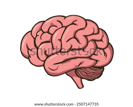 Human brain silhouette icon Simple view of head, human brain vector illustration in flat style. The human brain on a white background. 