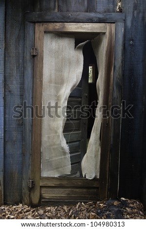 Old blue paneled door as seen through torn screen on wooden screen door of brightly painted old, abandoned blue house.